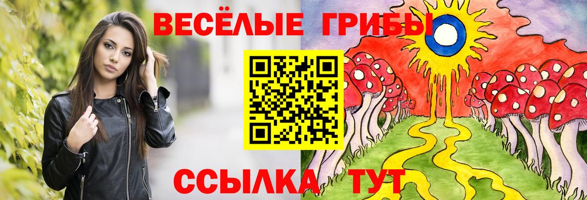 Галлюциногенные грибы Magic Shrooms Канск